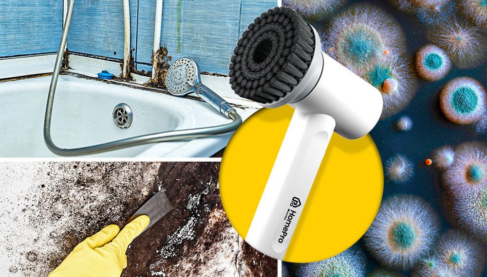HomePro Brush